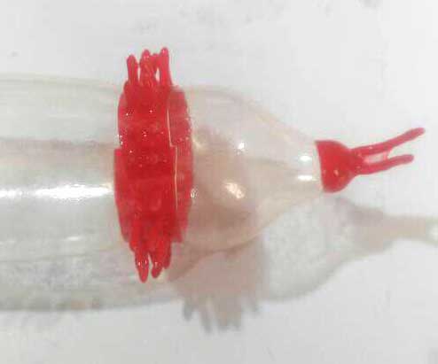 کاندوم فضایی ایکس دریم مدل طوقی -خرید اینترنتی کاندوم فضایی از آنلاین کاندوم